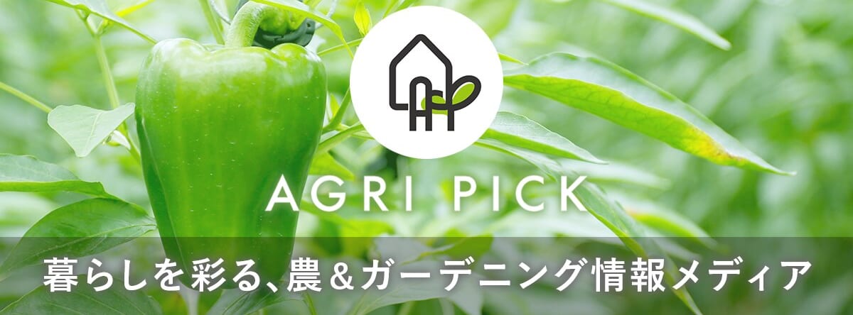 k_machida@agri-connect.co.jp